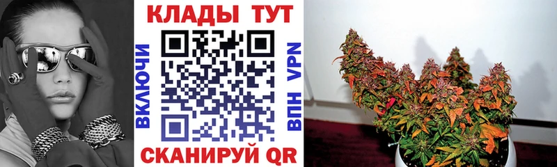 Названия наркотиков Ильский ГАШ  КОКАИН  Alpha-PVP  Меф мяу мяу 