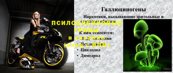 прущая мука Абаза